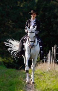 Woman in show attire riding a white andalusian horse