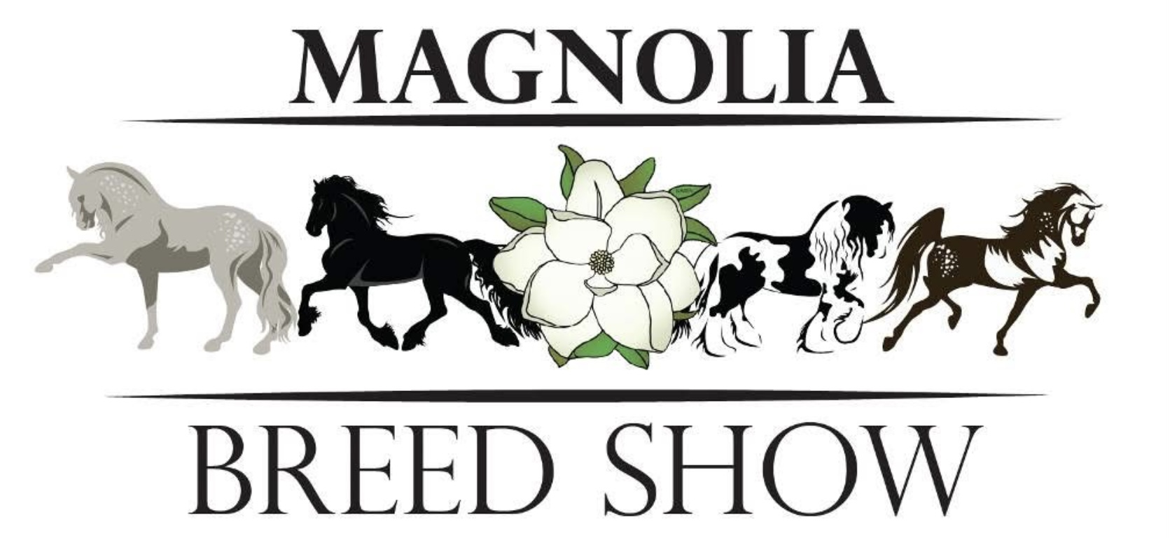 Magnolia in The Mountains - International Andalusian & Lusitano Horse ...
